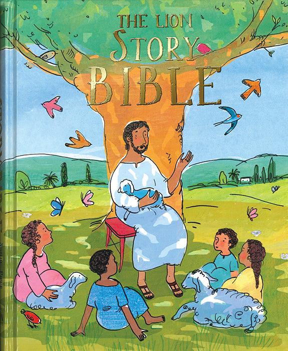 Children bible Story book