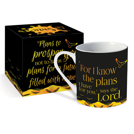 Plans for you Christian Mug & Gift Box