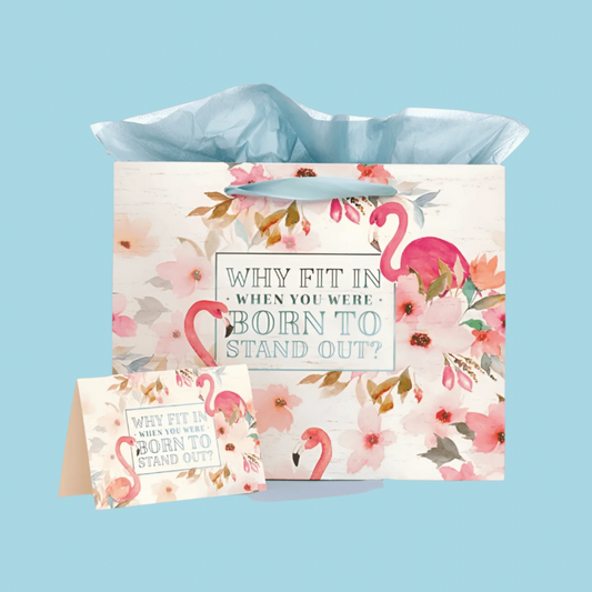  Large Gift Bag With Card